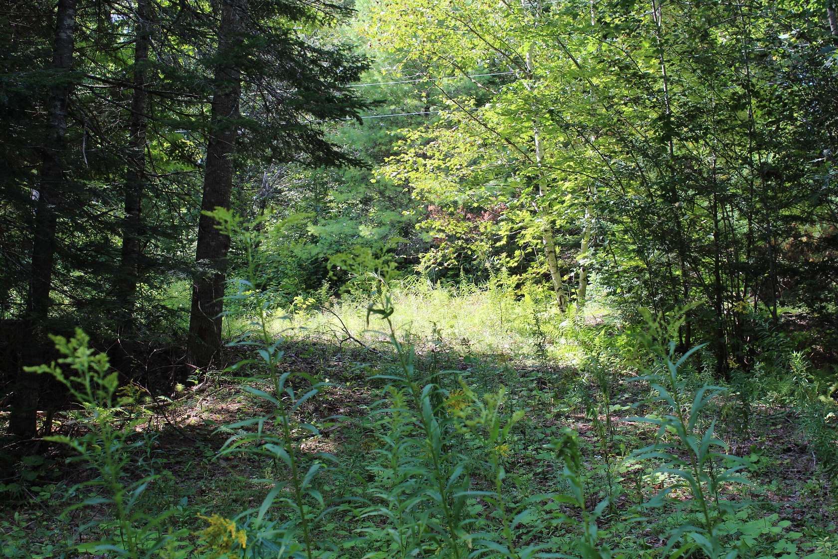 3.3 Acres of Land for Sale in Waldo, Maine