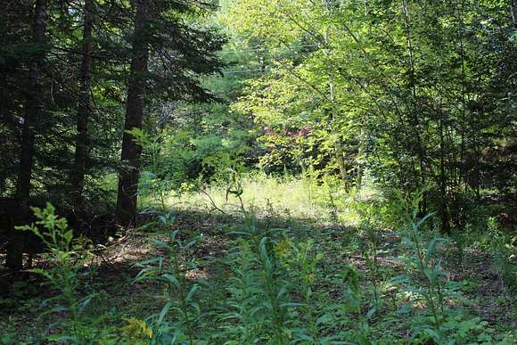 3.3 Acres of Land for Sale in Waldo, Maine