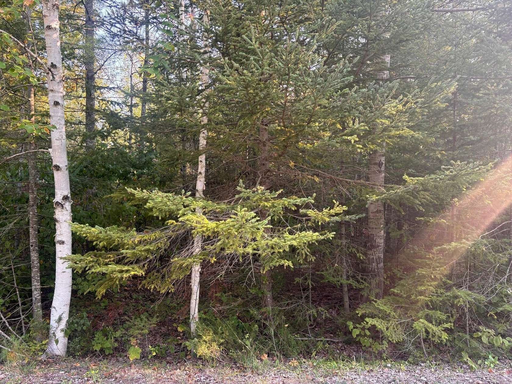 Residential Land for Sale in Presque Isle, Michigan