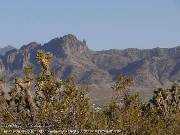 1 Acre of Residential Land for Sale in Dolan Springs, Arizona