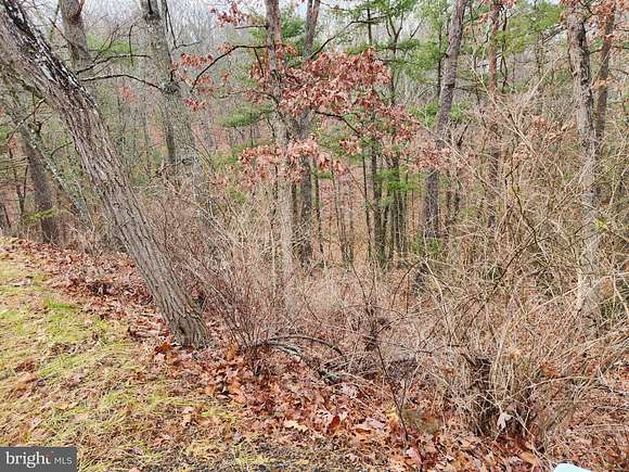 0.34 Acres of Land for Sale in Basye, Virginia