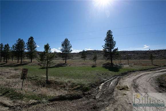 20 Acres of Recreational Land for Sale in Roundup, Montana