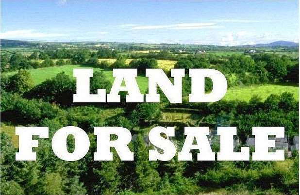 8 Acres of Residential Land for Sale in Lakeland, Georgia