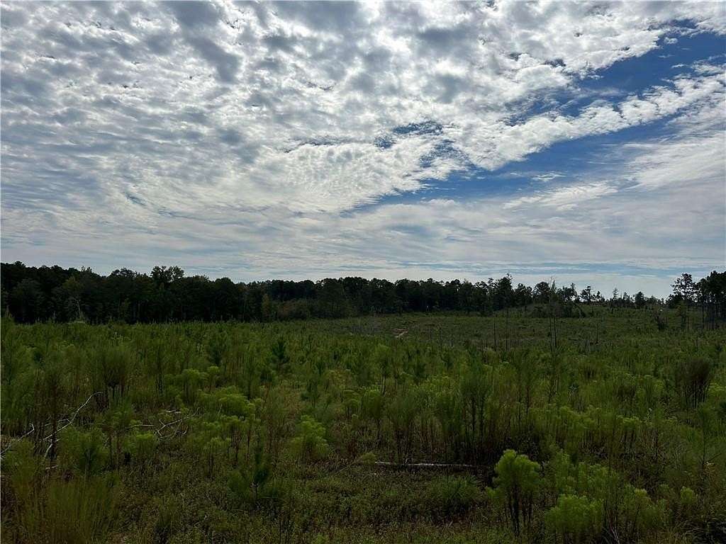 3.16 Acres of Residential Land with Home for Sale in Salem, Alabama