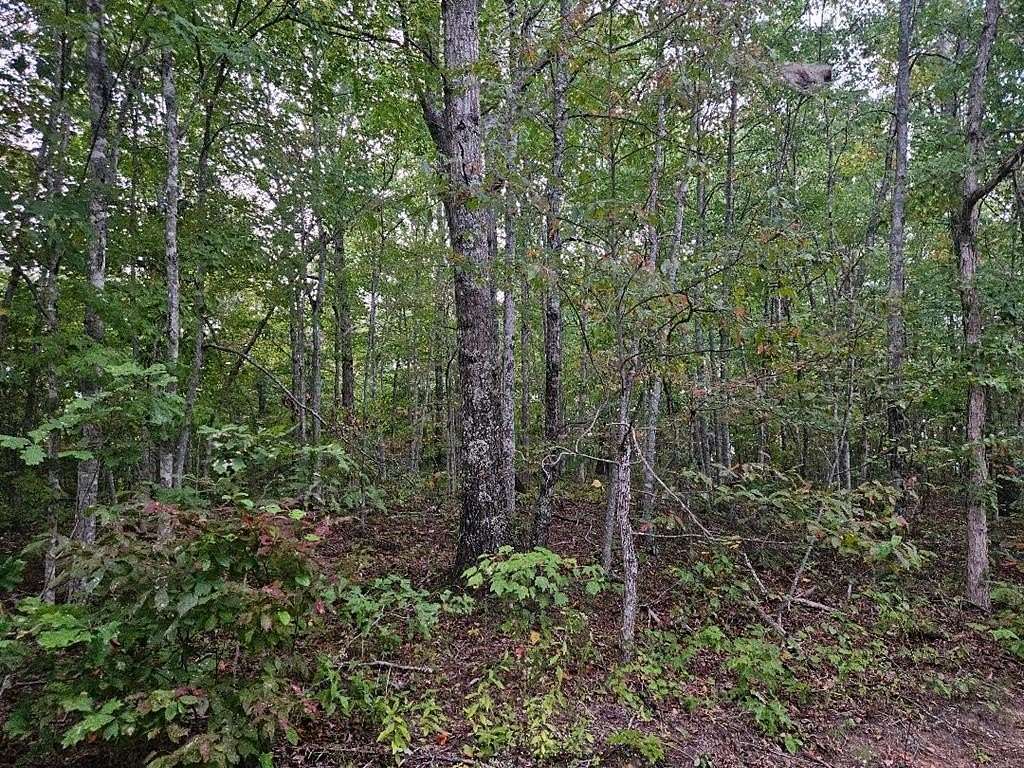 60 Acres of Land for Sale in Wilder, Tennessee