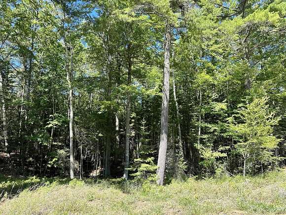 2 Acres of Residential Land for Sale in Manistique, Michigan