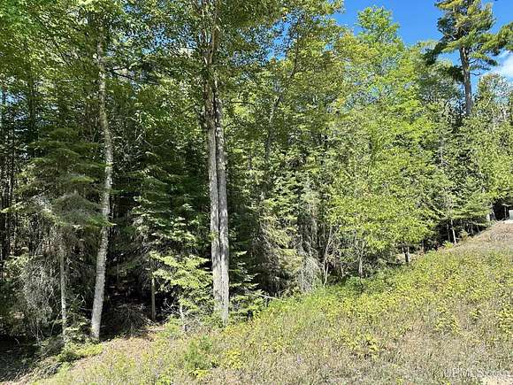 1.61 Acres of Residential Land for Sale in Manistique, Michigan