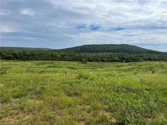 40 Acres of Land for Sale in Shady Point, Oklahoma