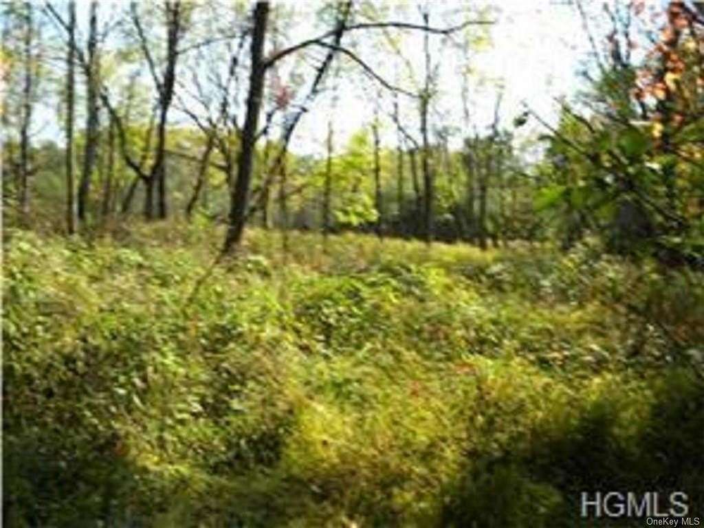 3.55 Acres of Residential Land for Sale in Hillburn, New York