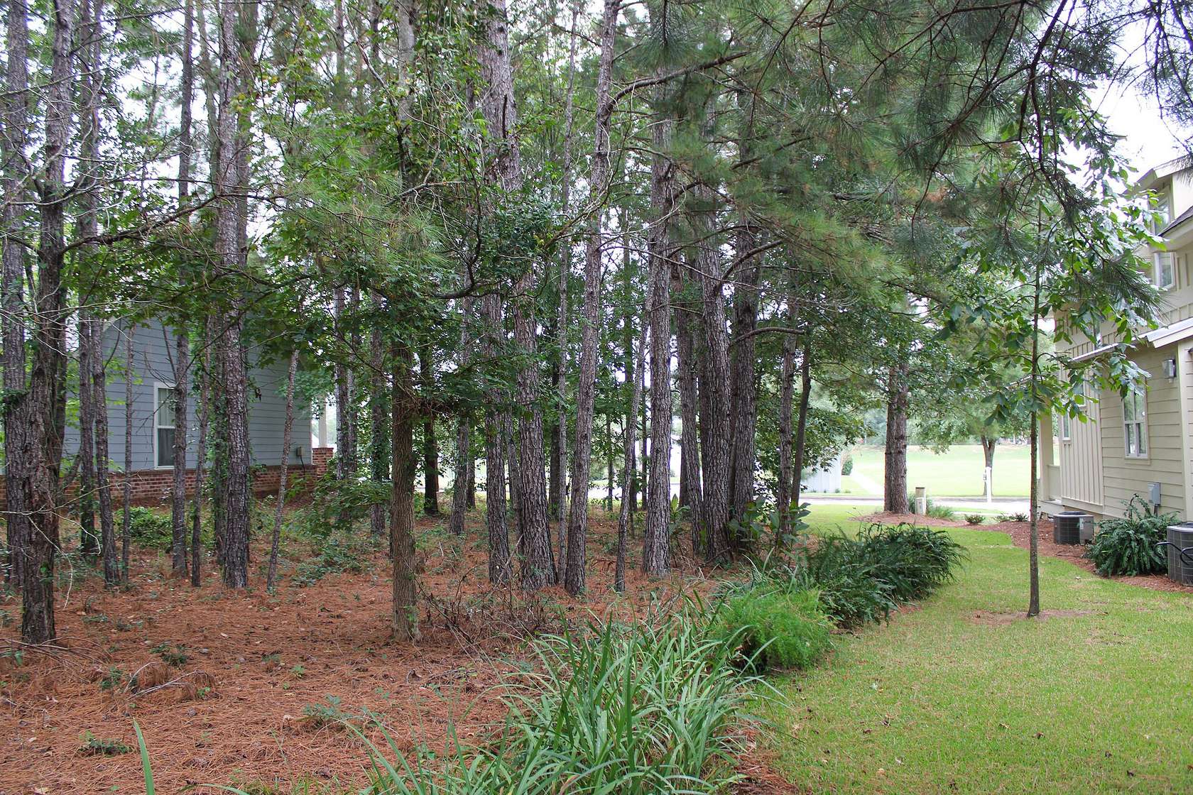 0.186 Acres of Residential Land for Sale in Hattiesburg, Mississippi