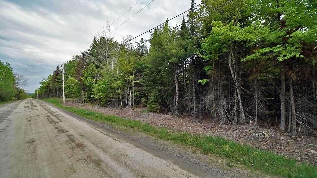 40 Acres of Land for Sale in Amity Town, Maine