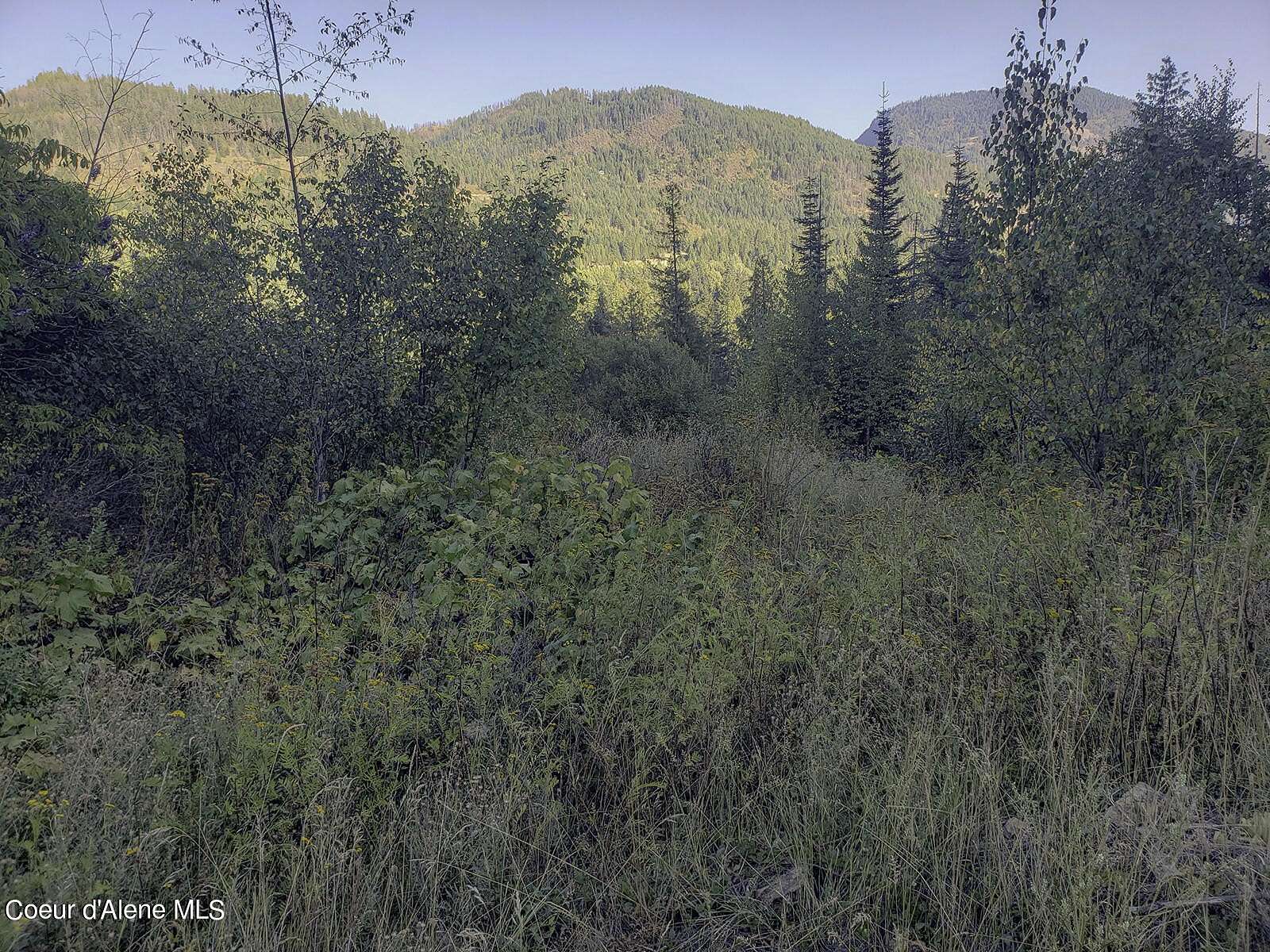 20.4 Acres of Land for Sale in Clark Fork, Idaho