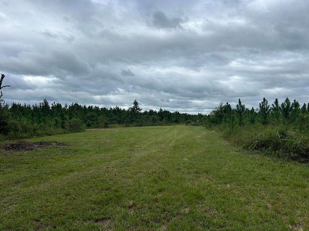 312.75 Acres of Recreational Land for Sale in Gordon, Alabama