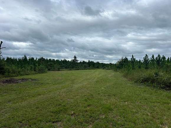 312.75 Acres of Recreational Land for Sale in Gordon, Alabama