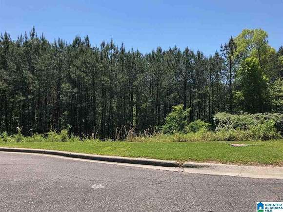 0.227 Acres of Land for Sale in Hoover, Alabama