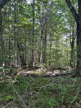 2.14 Acres of Land for Sale in Washington, New Hampshire