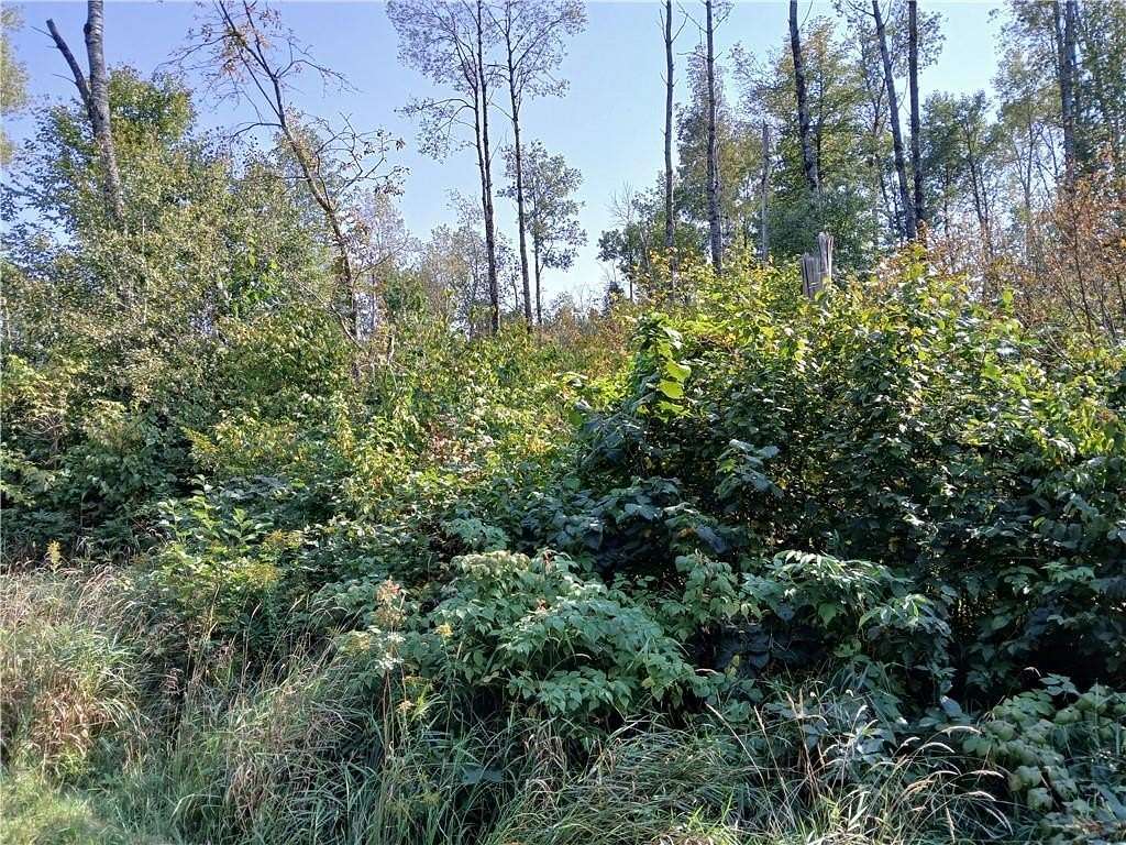 5.59 Acres of Residential Land for Sale in Cable, Wisconsin