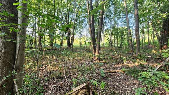 1.88 Acres of Residential Land for Sale in Comstock Park, Michigan