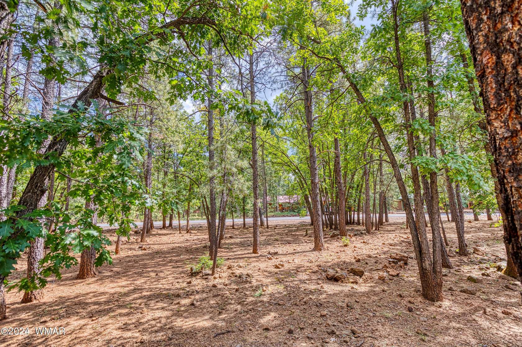 0.31 Acres of Residential Land for Sale in Pinetop, Arizona