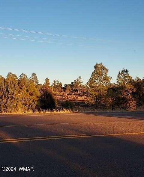 4.3 Acres of Commercial Land for Sale in Overgaard, Arizona