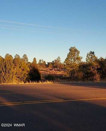 4.3 Acres of Commercial Land for Sale in Overgaard, Arizona