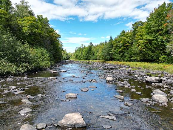 72.9 Acres of Land for Sale in Wytopitlock, Maine