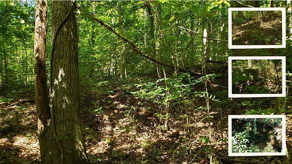 7.22 Acres of Residential Land for Sale in Celina, Tennessee