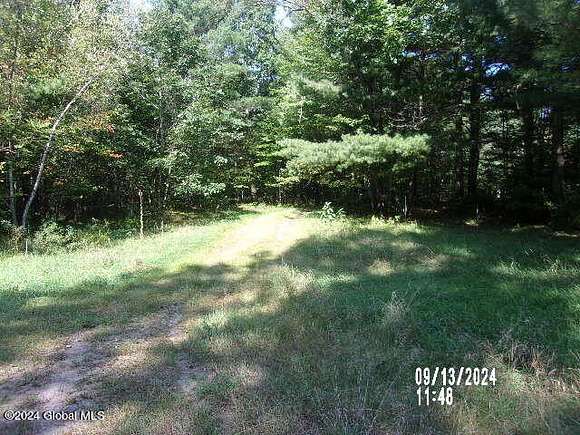 44.52 Acres of Land with Home for Auction in Chesterfield Town, New York