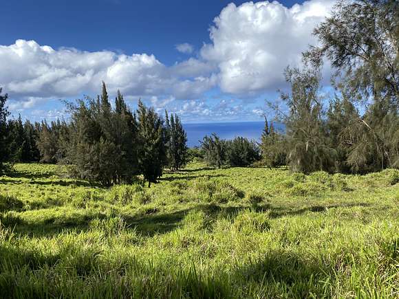 47.1 Acres of Recreational Land & Farm for Sale in Honokaa, Hawaii