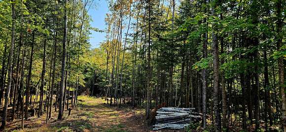 8.35 Acres of Residential Land for Sale in Lac du Flambeau, Wisconsin