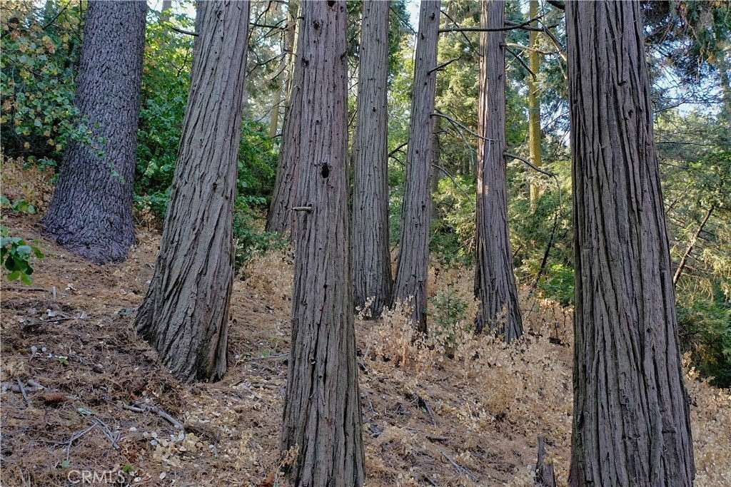 0.124 Acres of Land for Sale in Crestline, California