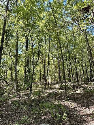 1.15 Acres of Residential Land for Sale in Mena, Arkansas