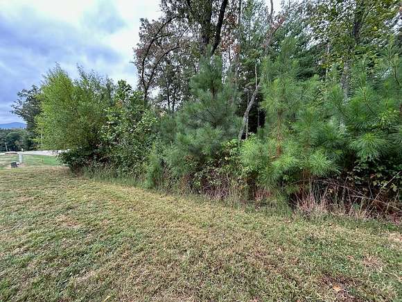 0.99 Acres of Residential Land for Sale in Blairsville, Georgia