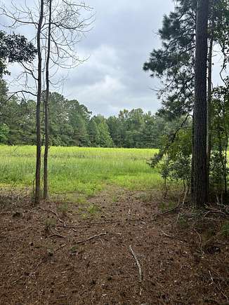 5.39 Acres of Agricultural Land for Sale in Ridgeville, South Carolina