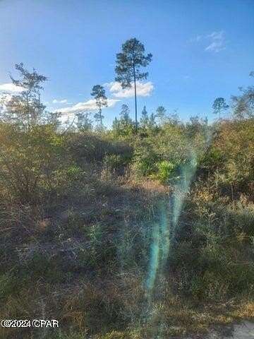32 Acres of Recreational Land for Sale in Fountain, Florida