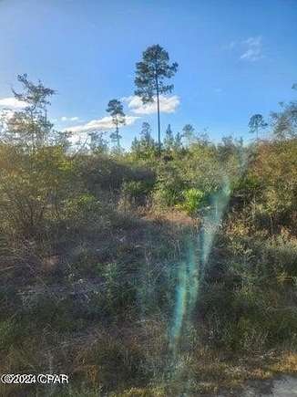 32.04 Acres of Recreational Land for Sale in Fountain, Florida