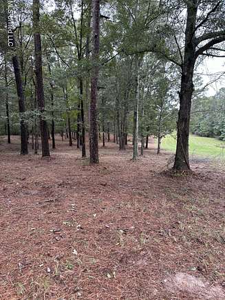 13.3 Acres of Land for Sale in Magee, Mississippi