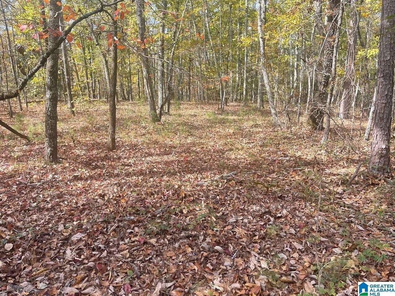 36 Acres of Recreational Land for Sale in Columbiana, Alabama