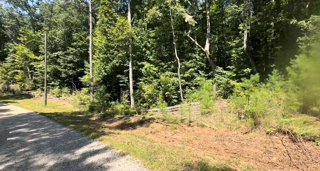 1.12 Acres of Land for Sale in Ellijay, Georgia