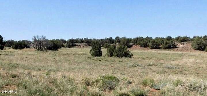 20.11 Acres of Recreational Land for Sale in Concho, Arizona