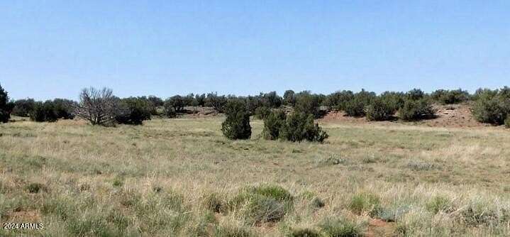 20.1 Acres of Recreational & Residential Land for Sale in Concho, Arizona