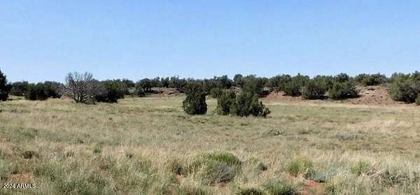20.1 Acres of Recreational Land for Sale in Concho, Arizona