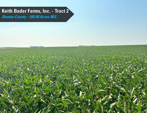 100 Acres of Agricultural Land for Auction in Dysart, Iowa