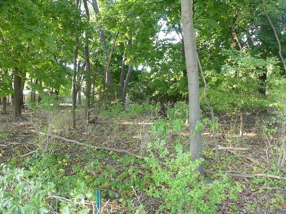 0.37 Acres of Land for Sale in Muskegon, Michigan