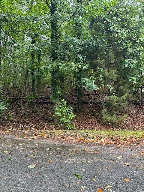 Land for Sale in Jasper, Alabama