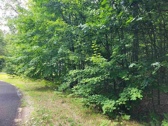 Residential Land for Sale in Houghton Lake, Michigan