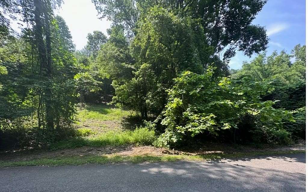 1 Acre of Land for Sale in Ellijay, Georgia