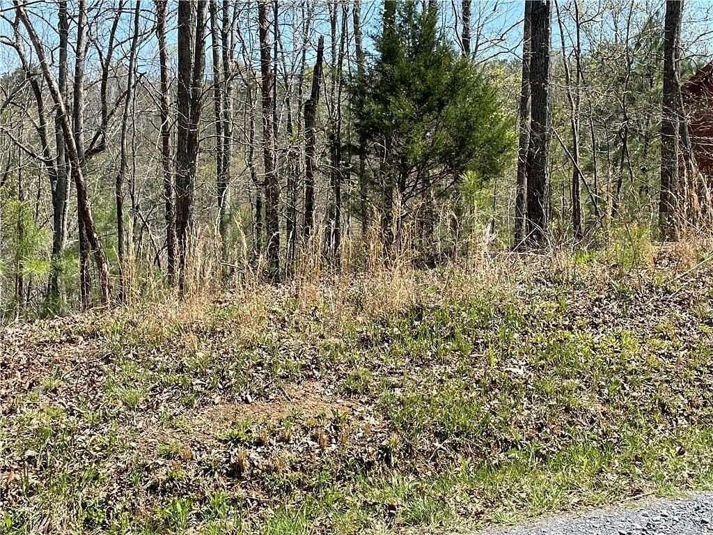 1 Acre of Residential Land for Sale in Ranger, Georgia