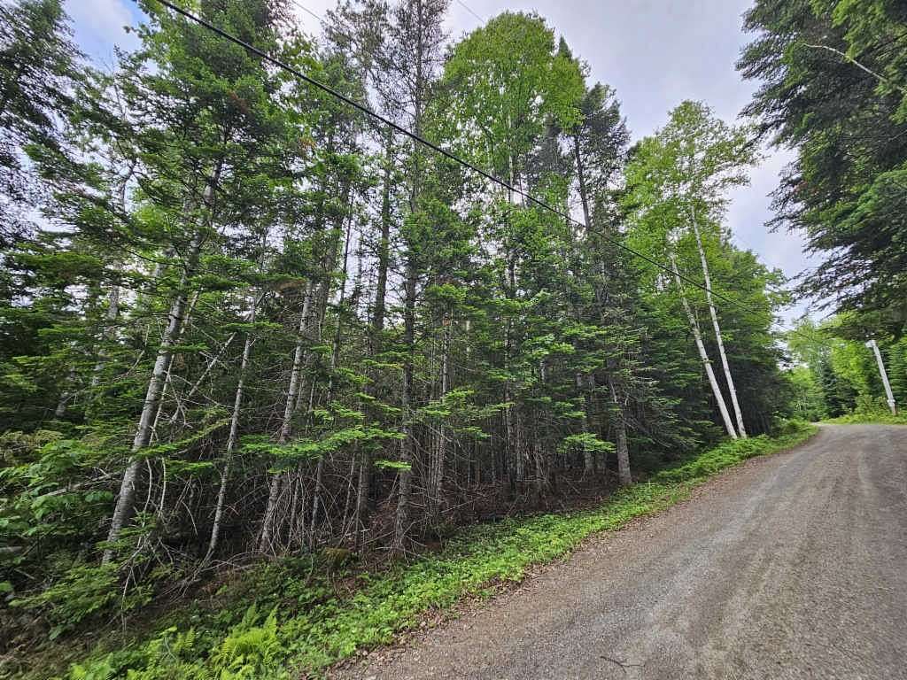 2.1 Acres of Land for Sale in Dallas Plantation, Maine