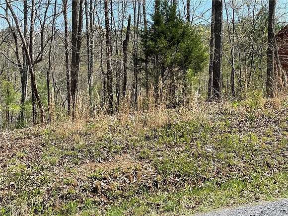 1 Acre of Residential Land for Sale in Ranger, Georgia